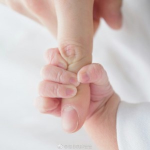 img-9e33cd95fd3a2561ae1d741763699ae6
