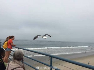 2D9C2017D03EDE9B16EAE4912333949A