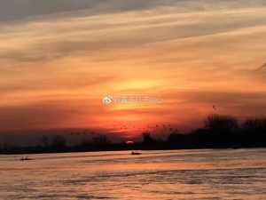A02326B7F35D8CCE75346D087B86B922 (1)